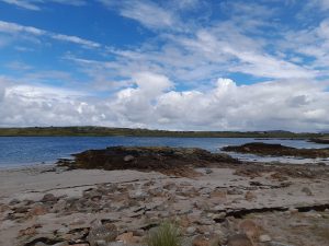 Read more about the article Images from Connemara