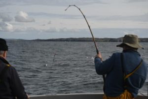 Read more about the article Shark fishing in Ireland