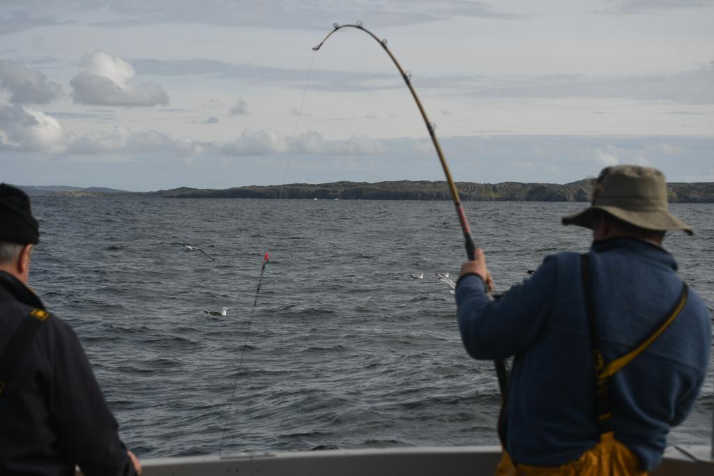 You are currently viewing Shark fishing in Ireland